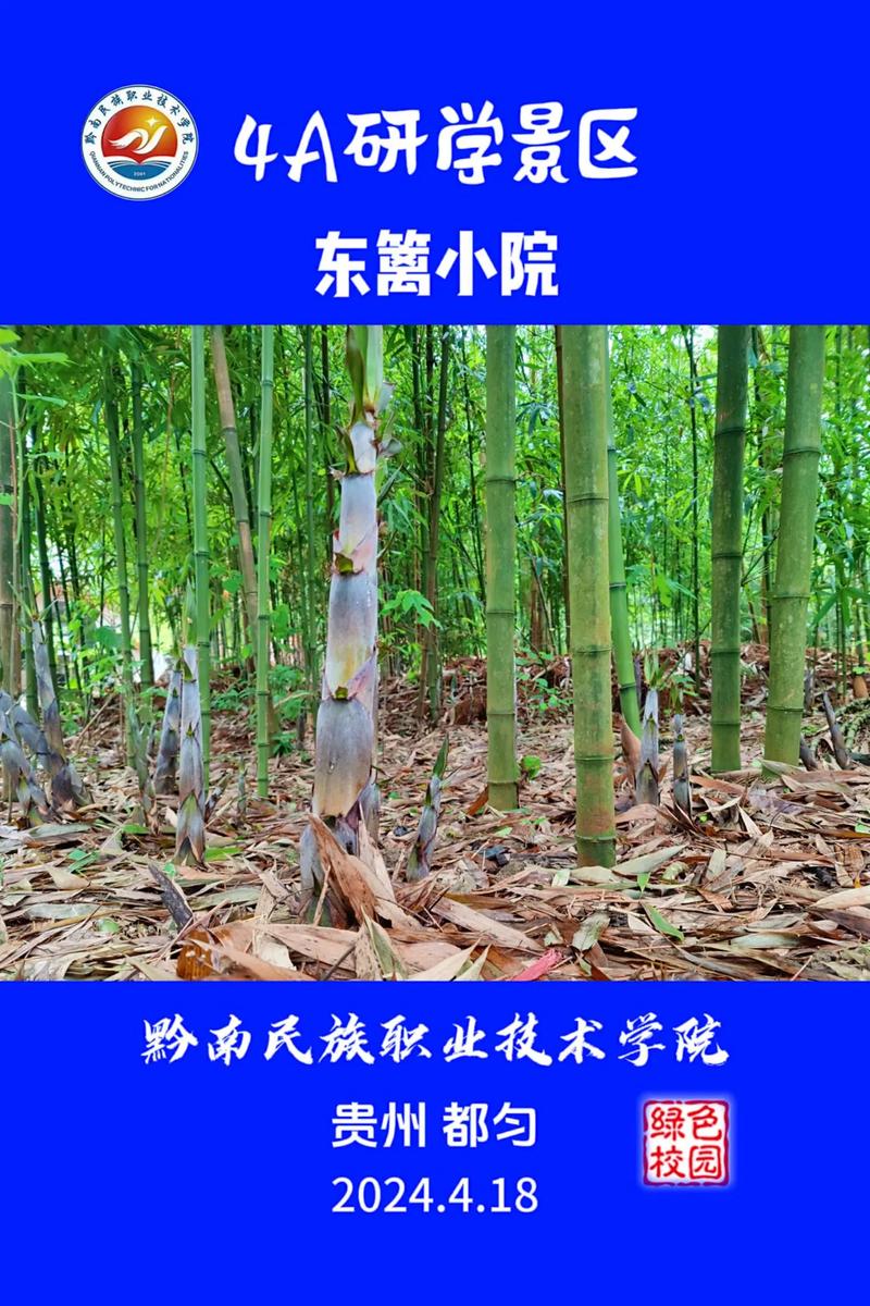 黔南职业学院?黔南职业学院2024年招生简章?-第2张图片-职教招生网 黔南职业学院?黔南职业学院2024年招生简章?-第2张图片-职教招生网