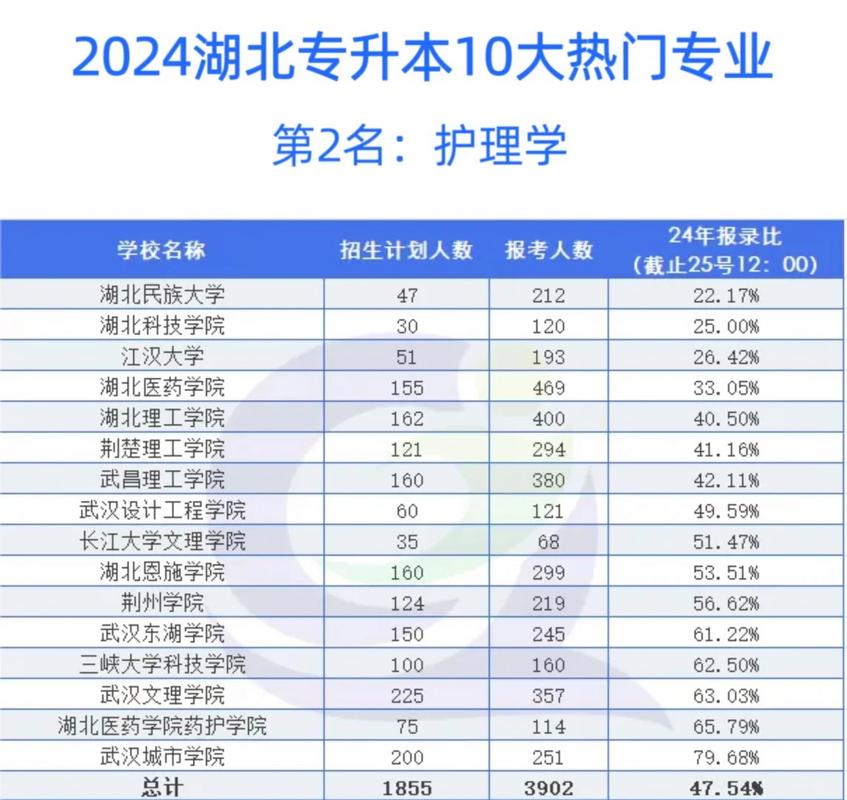 公办护理专业专科学校？全国公办护理专科院校有哪些？-第2张图片-职教招生网