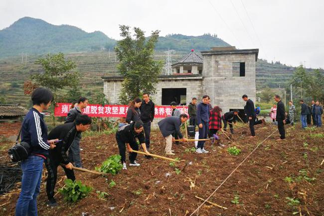 贵州省纳雍县职业中学？贵州省纳雍县职业中学校长是谁？-第6张图片-职教招生网