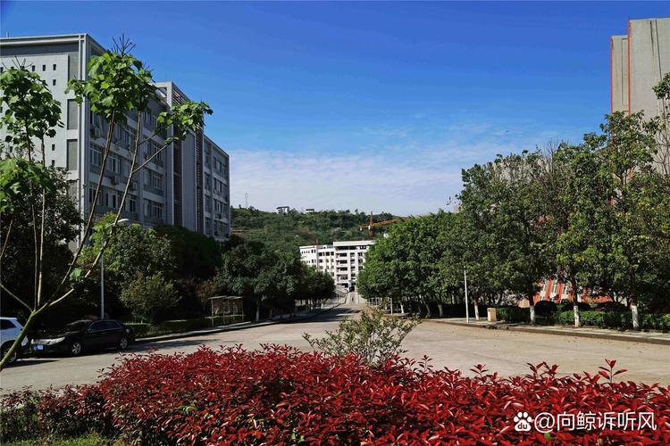 重庆中意职业技术学校,重庆中意职业技术学校是公办还是民办?-第4张图片-职教招生网 重庆中意职业技术学校,重庆中意职业技术学校是公办还是民办?-第4张图片-职教招生网