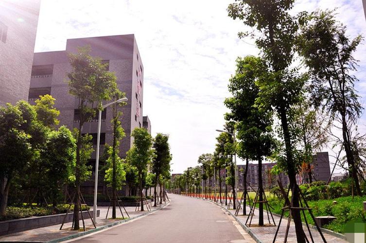四川省成都市石室天府中学,四川省成都市石室天府中学电话-第3张图片-职教招生网 四川省成都市石室天府中学,四川省成都市石室天府中学电话-第3张图片-职教招生网