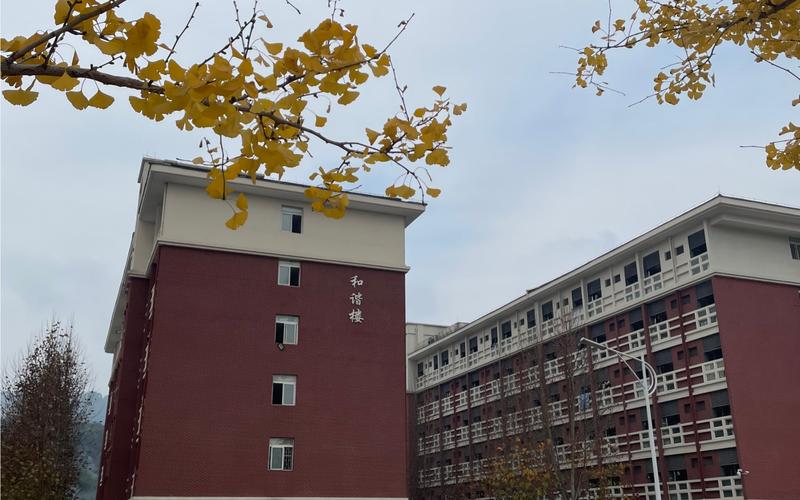 重庆城市高级技工学校?重庆城市高级技工学校2024预算?-第3张图片-职教招生网 重庆城市高级技工学校?重庆城市高级技工学校2024预算?-第3张图片-职教招生网