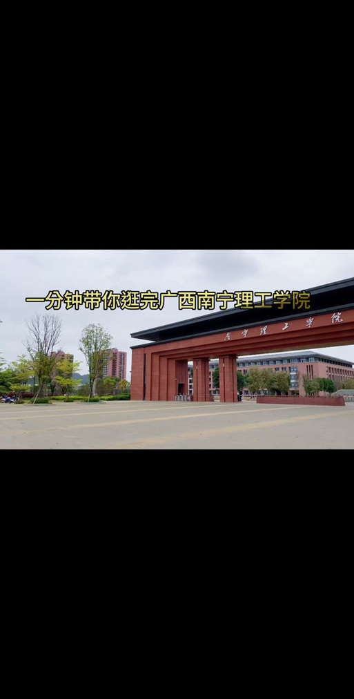 武鸣理工学校？武鸣工业学院？