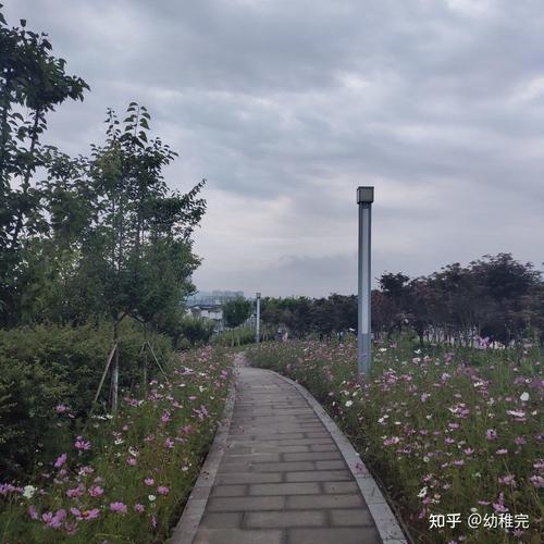 广安市技术职业学校，广安市技术职业学校官方网站-第3张图片-职教招生网