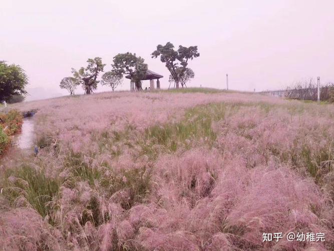 广安市技术职业学校，广安市技术职业学校官方网站-第5张图片-职教招生网