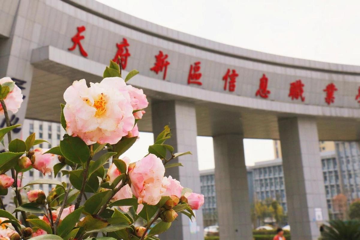 天府新区信息职业学校在哪里，天府新区信息职业学校怎么样
