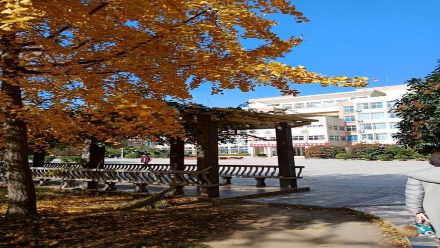 郑州商贸学校？郑州商贸学校是本科还是专科？