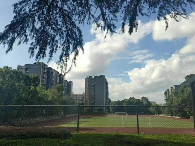 成都医学护理职业学校,成都医学护理职业学校官方网站?-第2张图片-职教招生网 成都医学护理职业学校,成都医学护理职业学校官方网站?-第2张图片-职教招生网