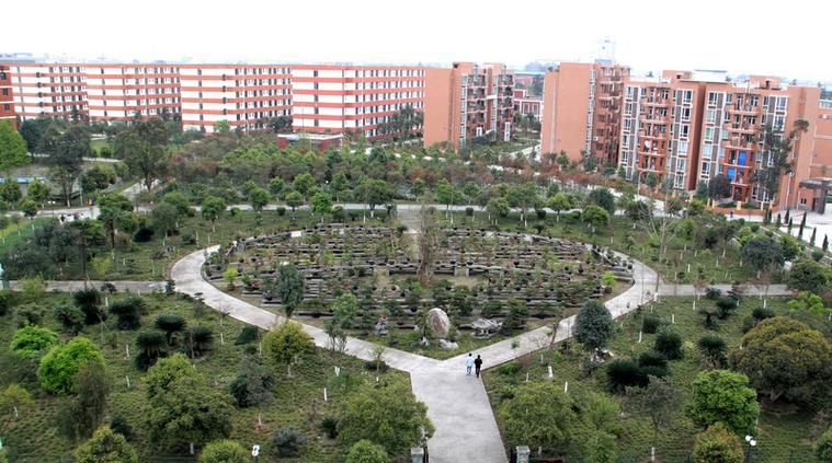四川省托普计算机职业学校?四川省托普计算机职业学校如何??-第6张图片-职教招生网 四川省托普计算机职业学校?四川省托普计算机职业学校如何??-第6张图片-职教招生网