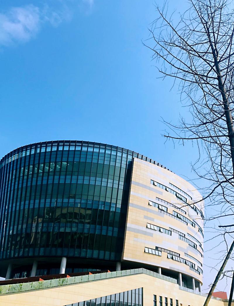 市职业学院？武汉城市职业学院？