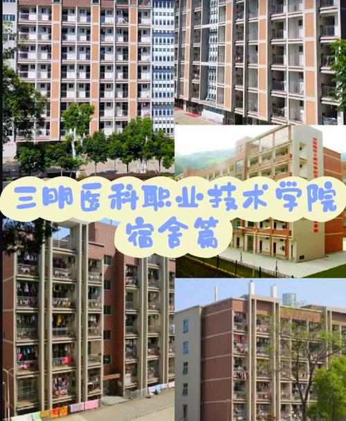 三明的职业技术学院?三明职业技术学院录取查询?-第3张图片-职教招生网 三明的职业技术学院?三明职业技术学院录取查询?-第3张图片-职教招生网