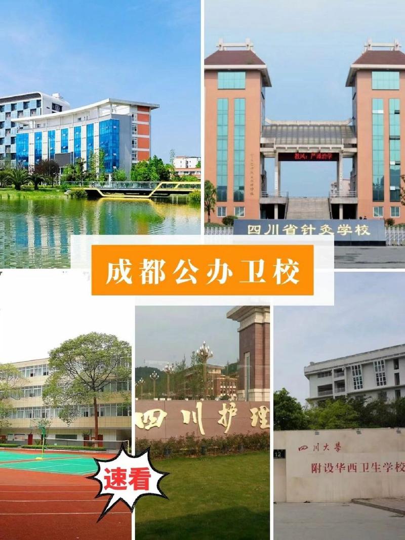 四川有卫生学校，四川卫生学校排名前十的有哪些?？-第4张图片-职教招生网