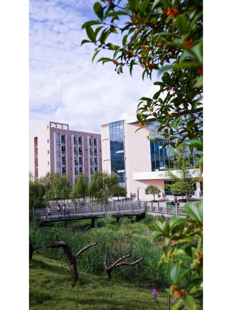 四川省盐业学校是职高吗，四川省盐业学校哪个教育局管？-第4张图片-职教招生网