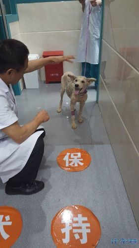 四川宜宾卫生学校电话？宜宾卫校电话号码？-第5张图片-职教招生网
