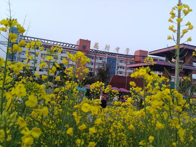 广安市广四中是否职业学校,广安广四中是普高还是职高?-第5张图片-职教招生网 广安市广四中是否职业学校,广安广四中是普高还是职高?-第5张图片-职教招生网