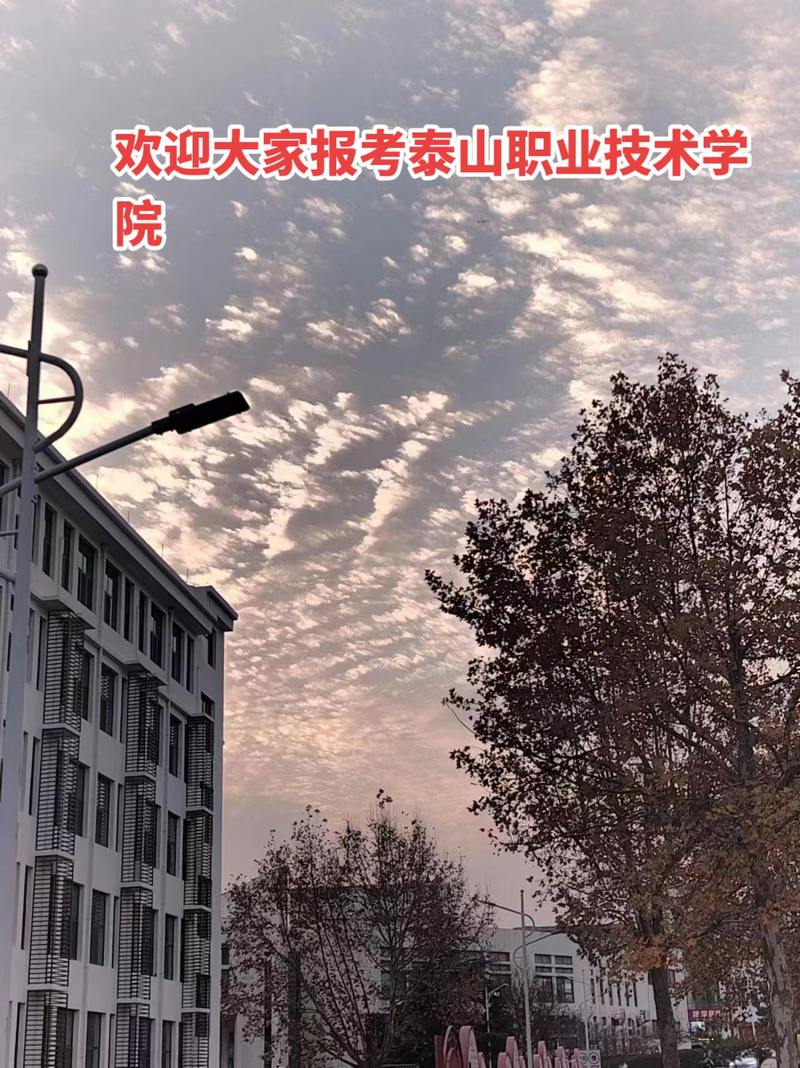 电子商务专业单招面试,电子商务单招面试常见问题及回答技巧-第4张图片-职教招生网 电子商务专业单招面试,电子商务单招面试常见问题及回答技巧-第4张图片-职教招生网
