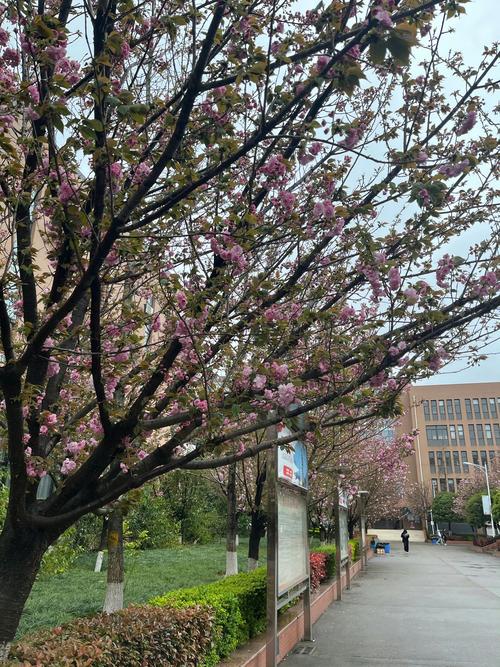 汽车职业学院,安徽汽车职业学院?-第3张图片-职教招生网 汽车职业学院,安徽汽车职业学院?-第3张图片-职教招生网