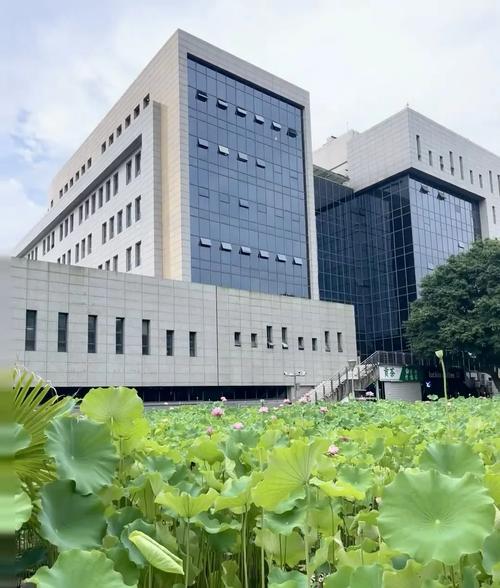 重庆市工业职业技术学院，重庆市工业职业技术学院有哪些专业