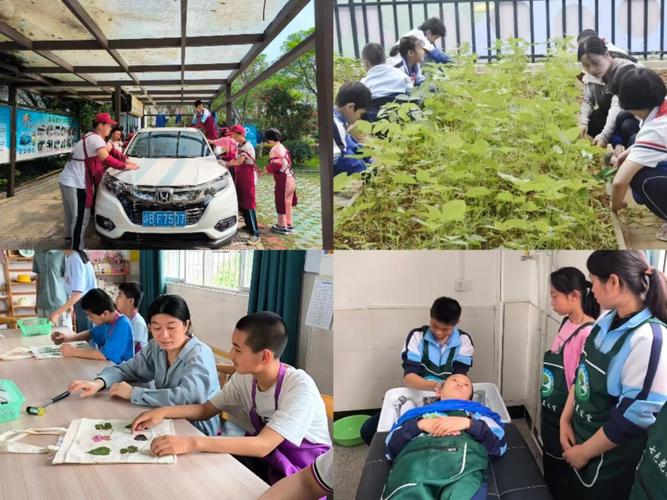 特殊教育学校的孩子,特殊教育学校的孩子可以考大学么??-第2张图片-职教招生网 特殊教育学校的孩子,特殊教育学校的孩子可以考大学么??-第2张图片-职教招生网