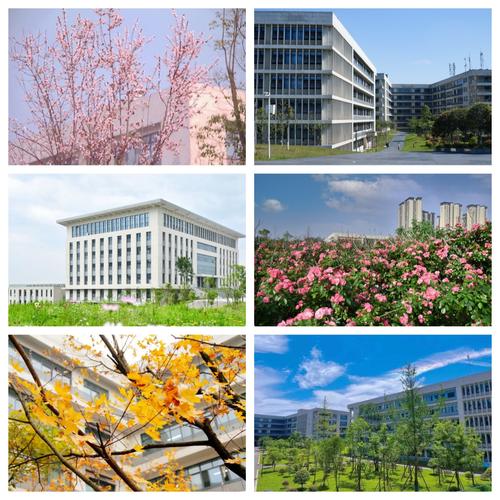 江阳城建职业技术学校在哪?江阳城建职业学院学校?-第4张图片-职教招生网 江阳城建职业技术学校在哪?江阳城建职业学院学校?-第4张图片-职教招生网