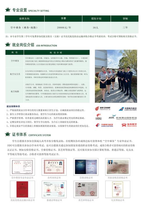 空中乘务专业艺考标准?空中乘务专业招生标准?-第4张图片-职教招生网 空中乘务专业艺考标准?空中乘务专业招生标准?-第4张图片-职教招生网