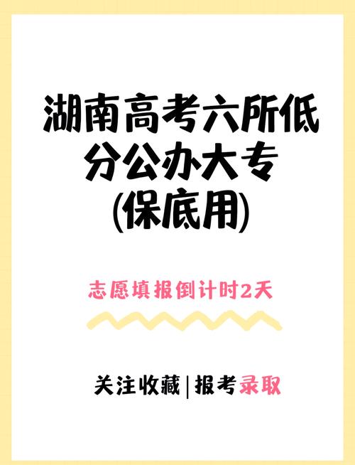 湘西幼儿师范高等专科学校分数线，湘南幼儿师范高等教育专科学校录取分数线？-第4张图片-职教招生网