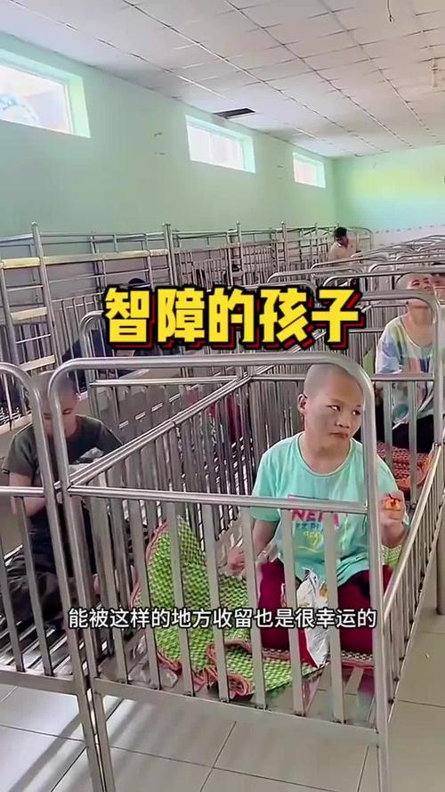 小孩智力低下上特殊学校好吗?智力障碍去特殊学校?-第4张图片-职教招生网 小孩智力低下上特殊学校好吗?智力障碍去特殊学校?-第4张图片-职教招生网