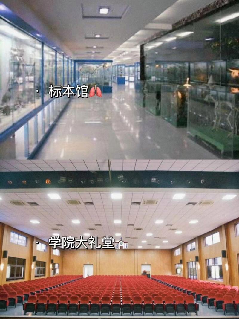 松江区职业技术学院,松江区职业技术学院官方网站?-第2张图片-职教招生网 松江区职业技术学院,松江区职业技术学院官方网站?-第2张图片-职教招生网