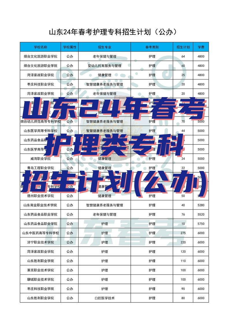 2024年护理专业？2024年护理专业文科可选吗？