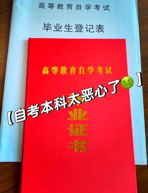 计算机程序设计三级证书,迈向专业程序员之路的里程碑-第3张图片-职教招生网