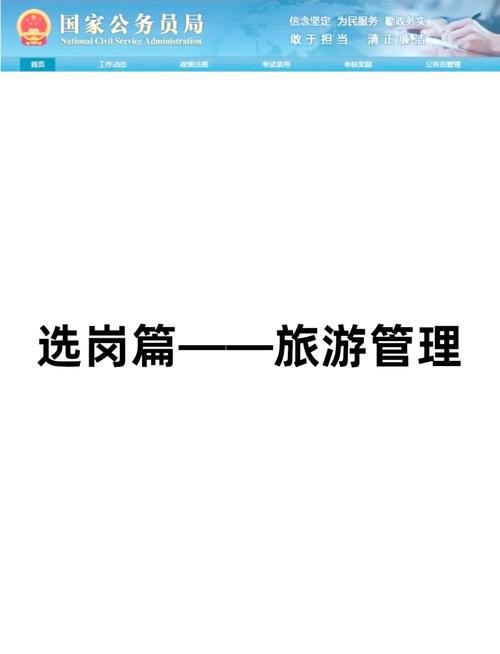 与导游相关的专业,探索旅游服务艺术与职业素养的融合之路-第5张图片-职教招生网